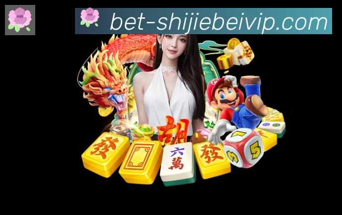 体育数据展示